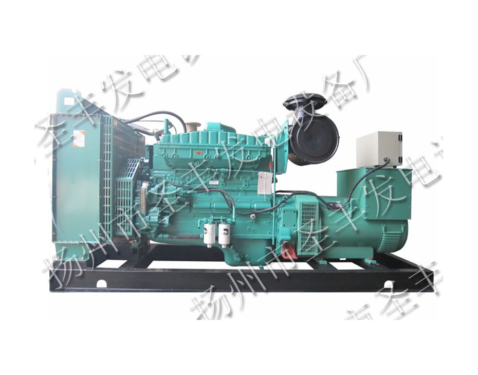 重庆康明斯200KW柴油发电机组图片NT855-GA (4)