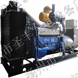 潍坊潍柴斯太尔200千瓦柴油发电机组WD61546D01N