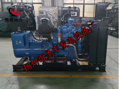 YCDA2545-D40玉柴30KW柴油发电机组图1