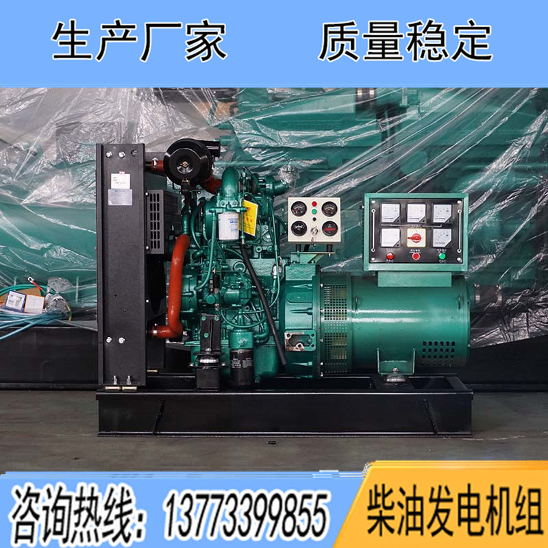 YC2115D玉柴20KW柴油发电机组报价